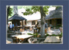 Colibele haiducilor - Piatra Neamt